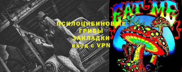 спиды Арсеньев