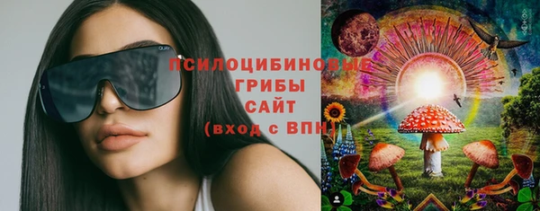 бошки Армянск
